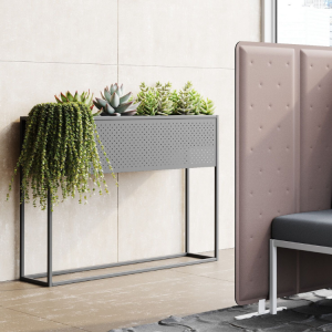 Η γλάστρα μου