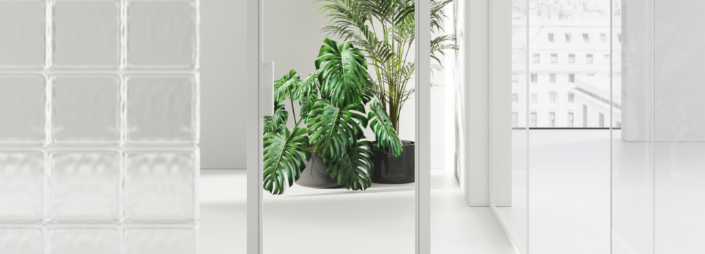 White framed glass Door with a minimalist handle, partially obscuring a leafy green plant in a bright room.